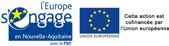 Fond social européen +